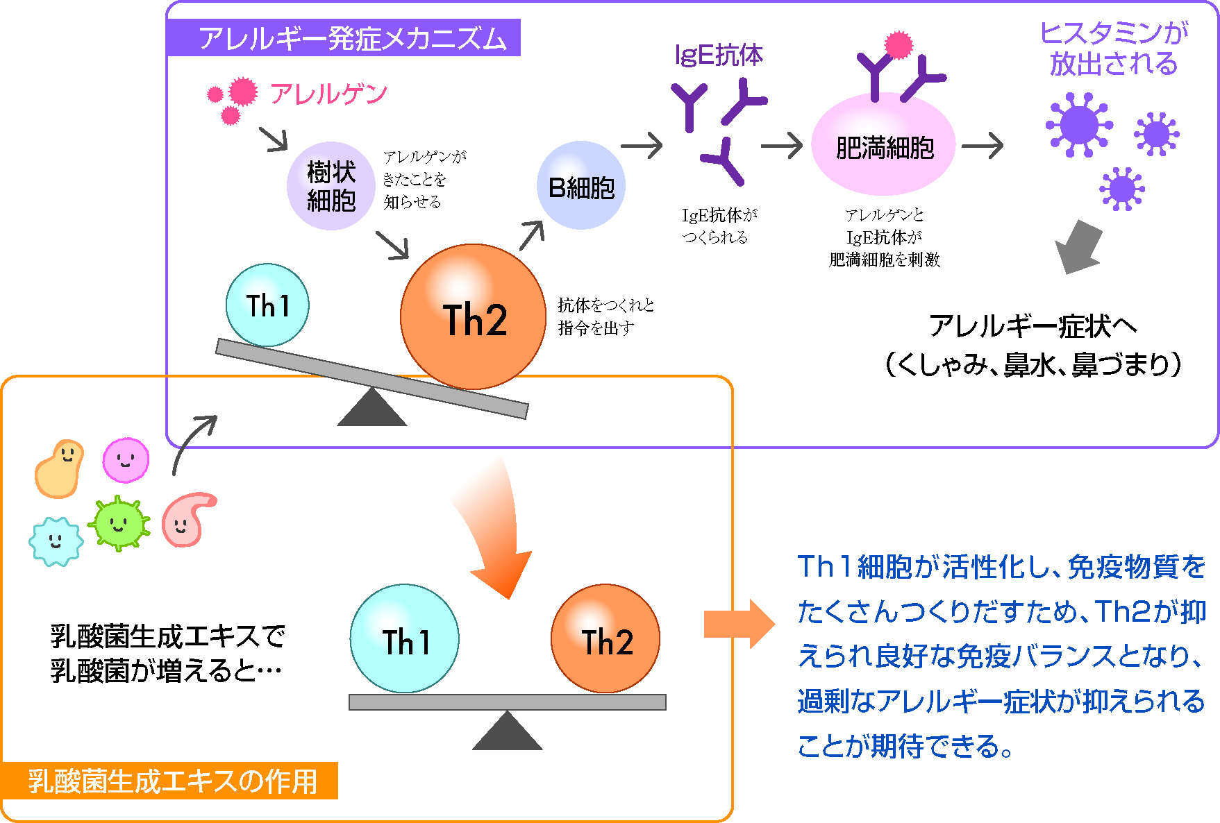 お気に入 乳酸菌#花粉症#後遺症に苦しんでる方へ ダイエット食品 | www