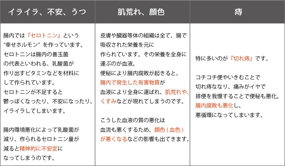 腸内環境の改善と乳酸菌生成エキス | 乳酸菌生成エキス研究室LABO