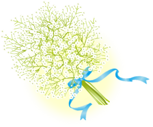 Bó hoa hơi thở của em bé