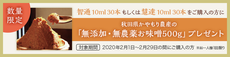 「智通10ml30本」もしくは「慧達10ml30本」をご購入の方に秋田県かやもり農産の「無添加・無農薬お味噌500g」プレゼント