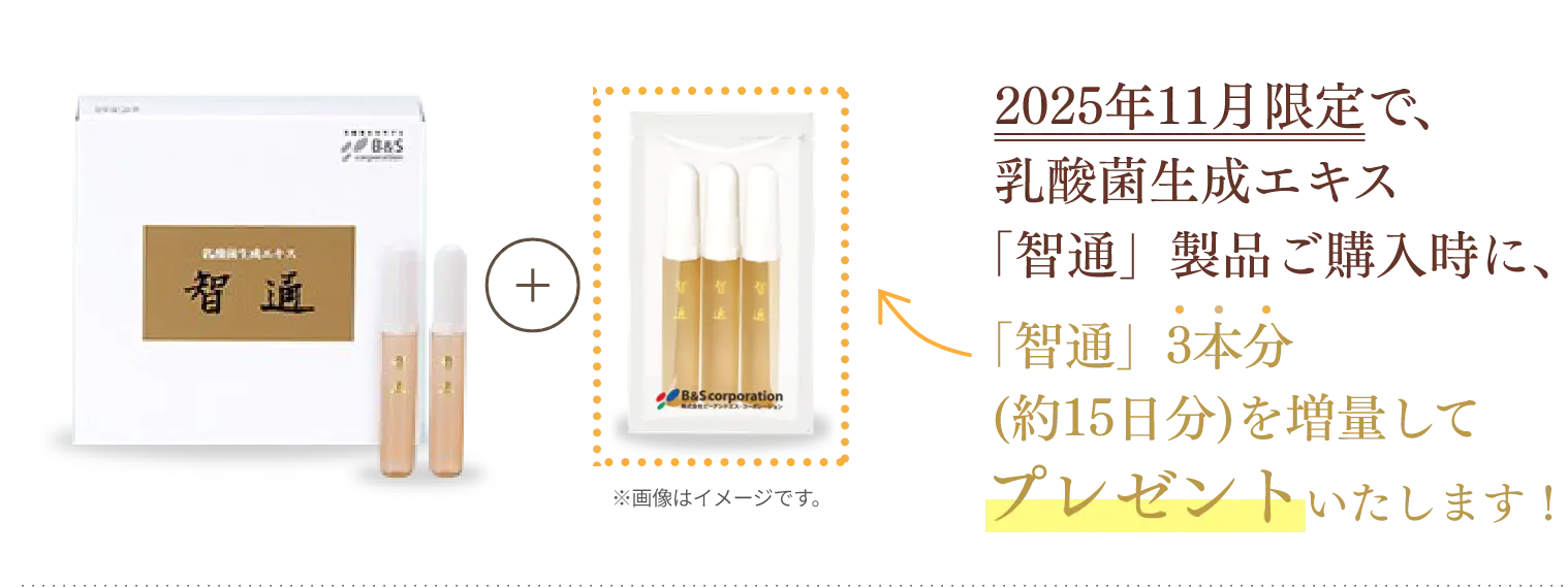 40年続くロングセラー製品／乳酸菌生成エキス『智通』