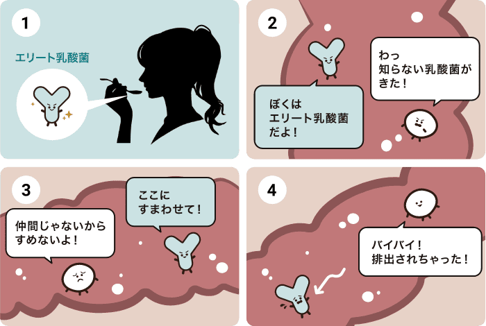 イメージ