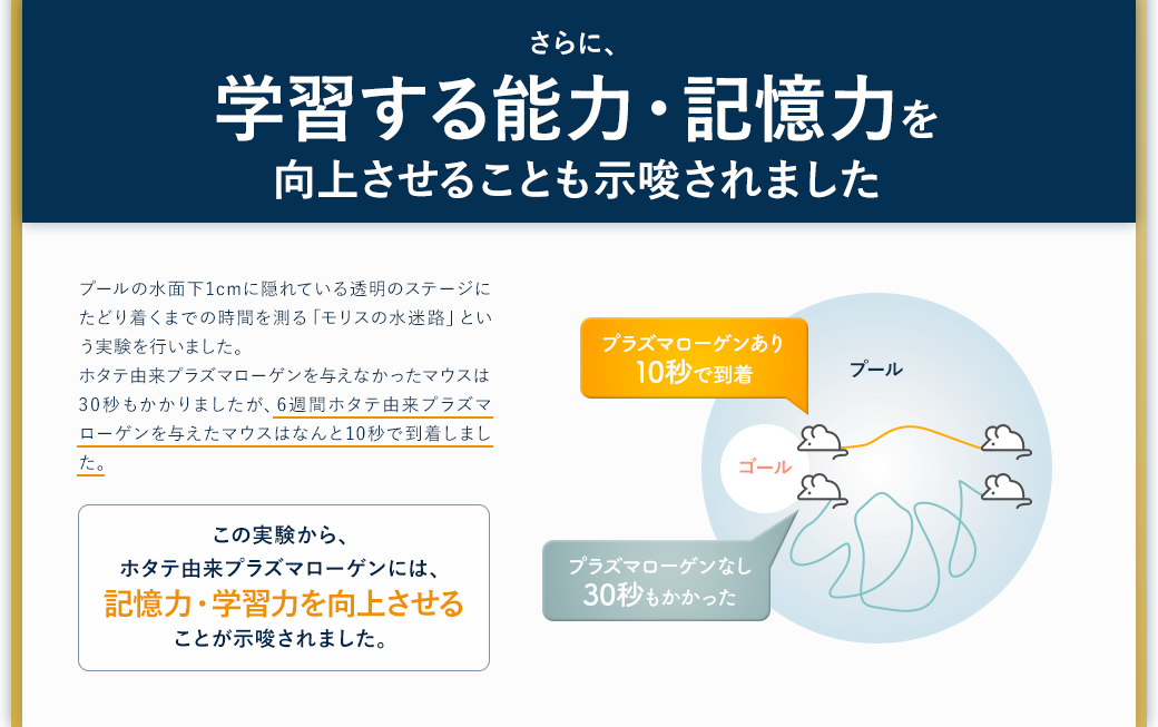 プラズマローゲンの働き 